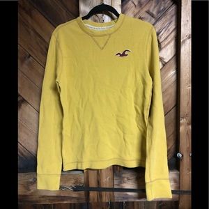 Hollister brand mustard thermal